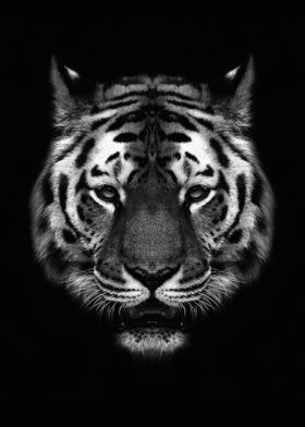 tiger head black white