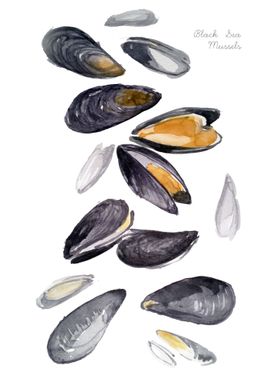 Black Sea Mussles