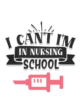 I am in nursing school