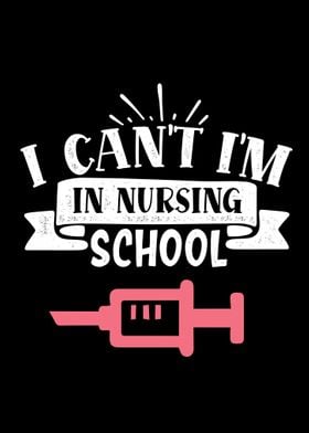 I am in nursing school