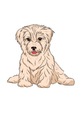 Havanese Dog Lover Gift