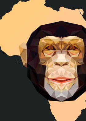 Geometrical Monkey