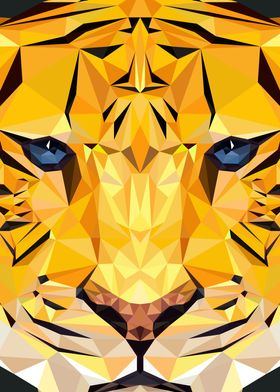 Geometrical Tiger