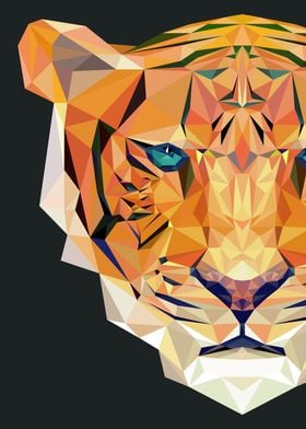 Geometrical Tiger