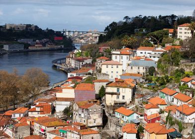 Hillside Houses In Porto