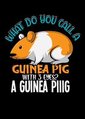 What do you call a Guinea
