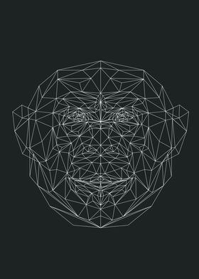 Geometrical Monkey