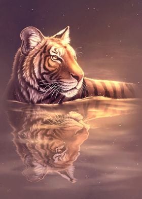 Tiger swimming in water