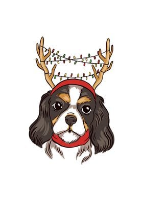 Reindeer Dog Xmas Gift