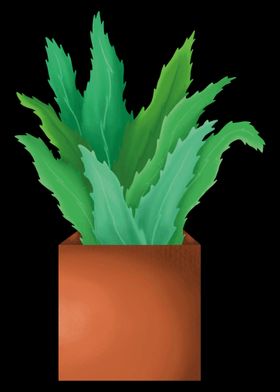 Aloe Vera Garden Plant Flo