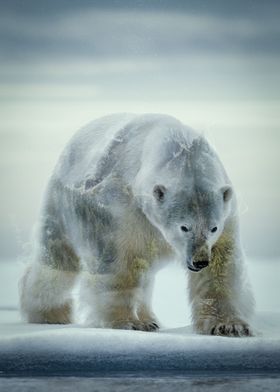 Polar Bear Winter Edition