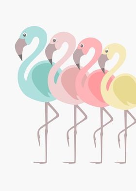 Flamingo in Four