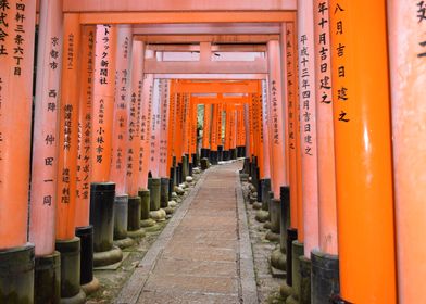 Kyoto  Fushimi Inari