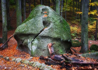 Mushroom Shape Forest Rock
