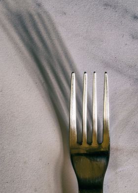 Fork and shadow