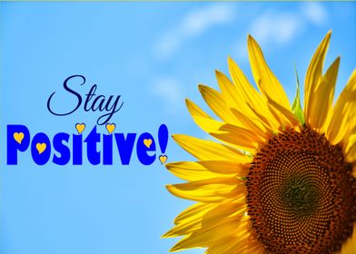 Stay Positive Sunflower