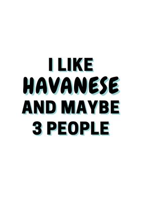 I Like Havanese And Maybe