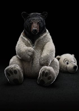 Animals Bear