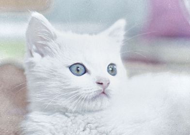 cute cat poster