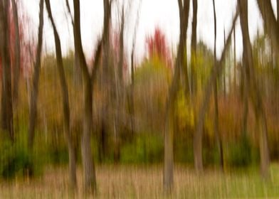 Abstract wooded landscape