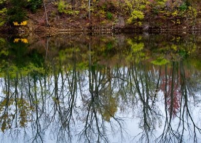 Autumn reflections