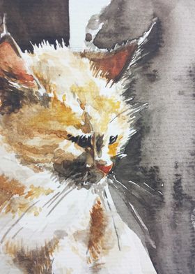 Watercolor cat closeup