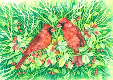 Cardinals on holly