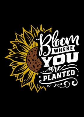 Bloom where u are planted