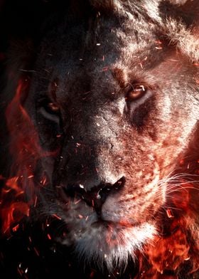 fire lion king artwork 