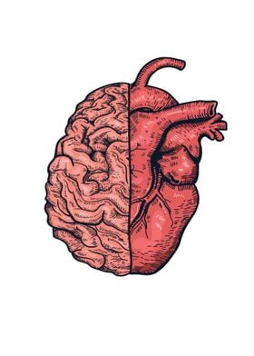 Heart and Brain