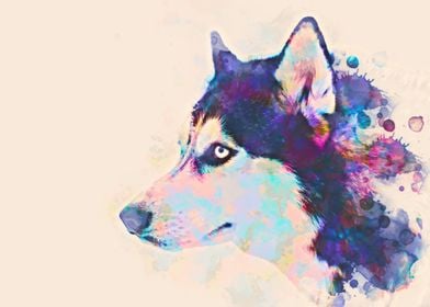 Husky Dog Watercolor