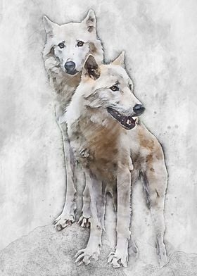 Wolf Family