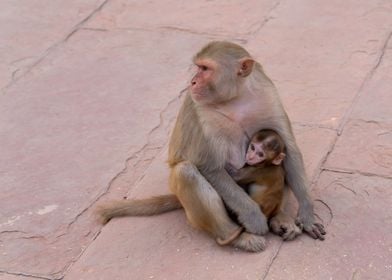 Mother with her baby