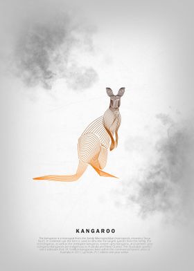 Kangaroo