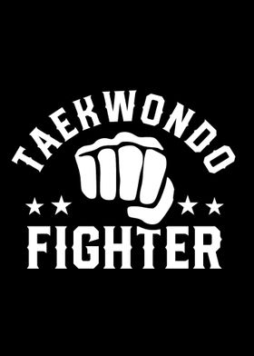 Taekwondo Fighter