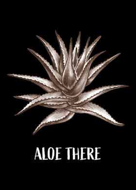 Aloe Vera Garden Plant Flo