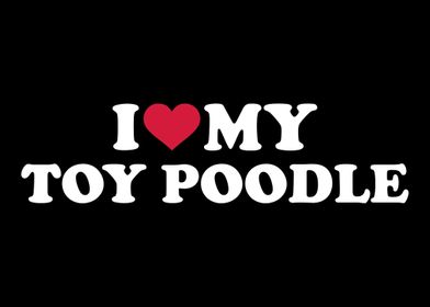 Toy Poodle