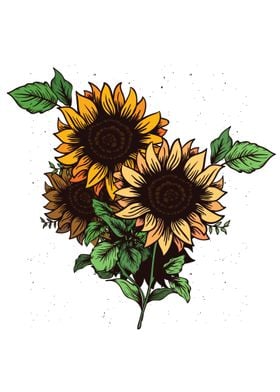 Sunflowers