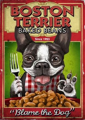 Boston Terrier dog baked