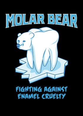 Molar Bear 