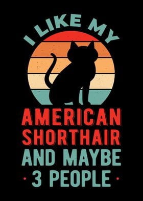 Funny American Shorthair