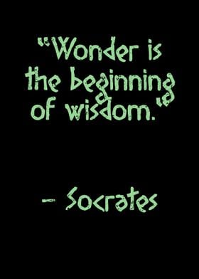 Wonder is the beginning of