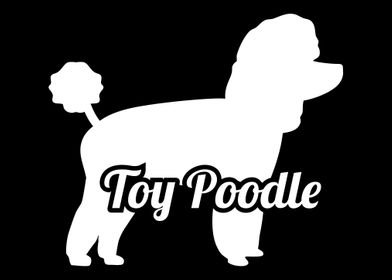 Toy Poodle
