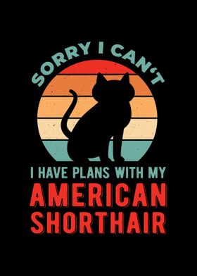 Funny American Shorthair