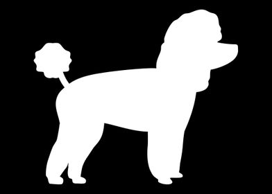 Toy Poodle