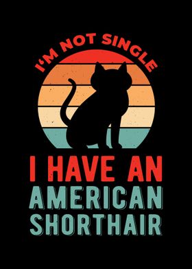 Funny American Shorthair