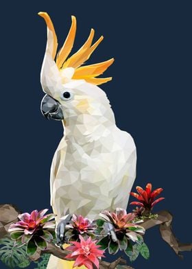 Cockatoo bird 