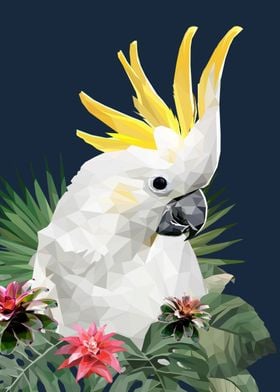 Cockatoo bird 