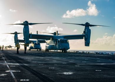 Ospreys