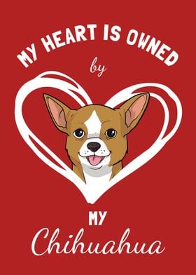 Chihuahua Heart